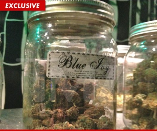 SHUTUPCANDI: New Strain of Marijuana