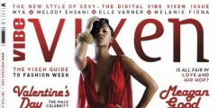 Meagan Good for Vibe Vixen February/March 2012
